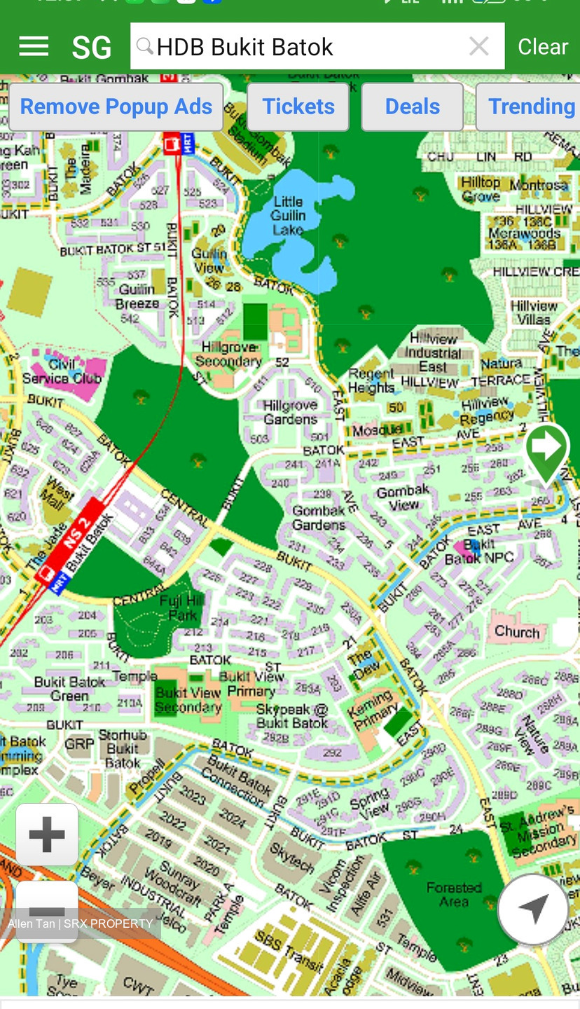 Blk 265 Bukit Batok East Avenue 4 (Bukit Batok), HDB 4 Rooms #558732271